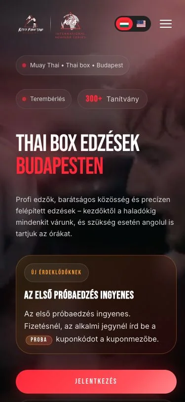 Kiss Fighting Academy mobile website